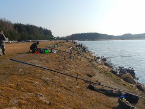 DSCN1304