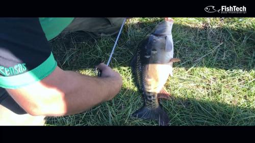 fishtech cup 2017.00 13 26 15.Still043